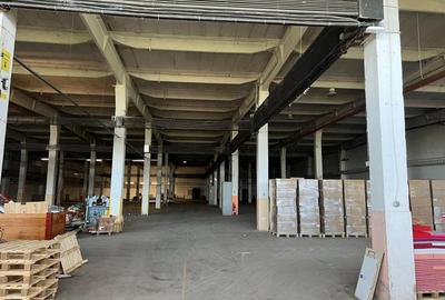 Hală industrială 3.600 mp cu acces cale ferată – Buftea - 9