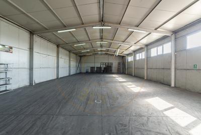 Hale & Birouri Mărăcineni - 1.294 mp - Deschidere la DN - 13