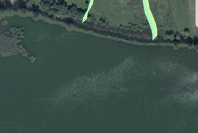 Proprietate frumoasa si rara cu deschidere la lac!La 30 km de Bucuresti - 19