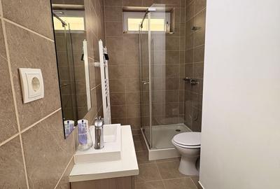 Duplex de inchiriat | zona Europa - 15