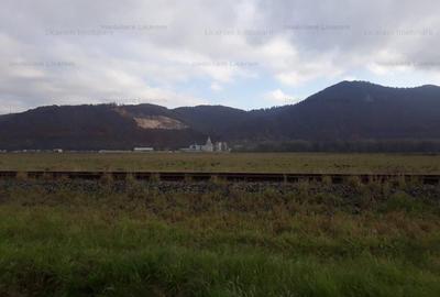 Teren industrial 2000mp DN 73 Soseaua Cristianului Str CUCULUI - 1