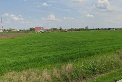 📍 Teren intravilan de vânzare/pret negociabil – Adunații Copăceni, Giurgiu - 4