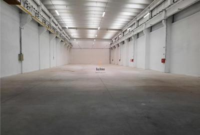 Spatiu Industrial - 1500 mp - Productie - Depozitare - Distributie - 3