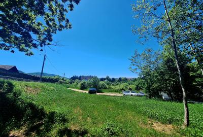 Teren intravilan de vânzare-3600 mp-str. Visinilor-Cisnadioara! - 1