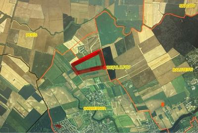Teren 45 ha oportunitate investitie-dezvoltare Corbeanca- Comision 0 - 1