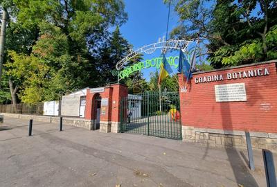 Vila individuala in zona Cotroceni-Parc Izvor, Sector 5 - 11