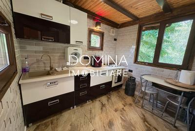 *Domeniu* cu potential turistic - casa de vis, livada si vie - Bumbesti-Jiu - 7