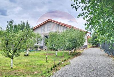 Casă 3 camere de vânzare în Miniș, jud. Arad - 1
