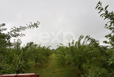 Casă semifinisată | Buzoiești | Teren generos 2.900 mp - 10