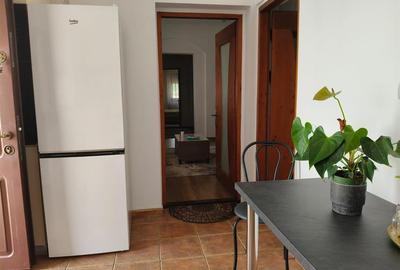 Zona Gradinii Publice Casa pretabila pentru 2 familii 150mp utili cu 300mp teren - 15