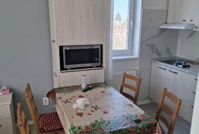 Afacere la cheie casa, vila, zona Therme,Aeroport - 7