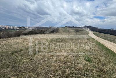 Teren, 1.400 mp, intravilan, Zona Viile 1 Mai - 4