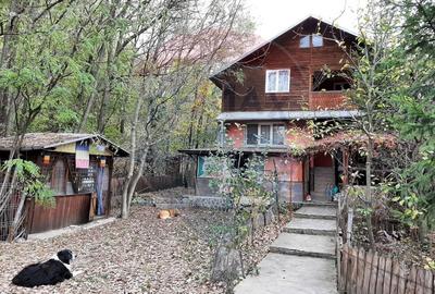 Vanzare casa Provita de Jos Prahova - 1