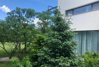 Vilă Individuala | Locație premium | Panouri solare - 8