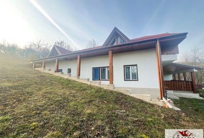 Casa de vanzare in Alba Iulia - 9