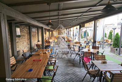 Afacere la cheie, in apropierea Castelului Corvinilor in Hunedoara - 31