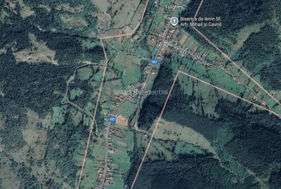 Teren intravilan 33300mp -F.S. 56mp - Tulghes  Jud. Harghita - 1