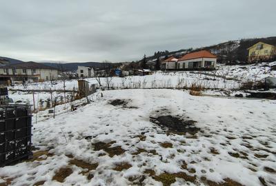 Proprietate cu 2 case, una fiind tradițională, Dezmir - 19