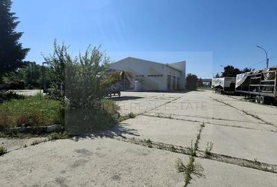 Distribuție /productie 3800 mp -constructie /14.000 mp curte. - 4