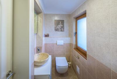 Aristocrația interbelică și rafinamentul contemporan:Mansarda Ermil Pangratti - 14