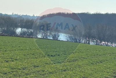 DE VANZARE intravilan LAC, Moara Vlasiei, Caldarusani TEREN ECHITATIE - 1