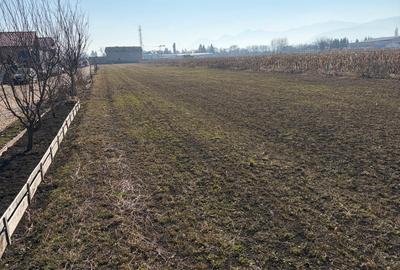 S.C Vimak Imobiliare vinde teren intravilan Stupini. - 6
