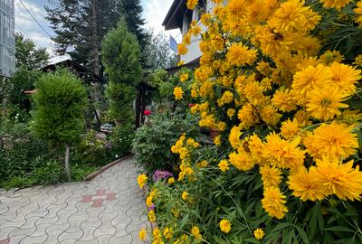 Vanzare vila lacul Baneasa - 22