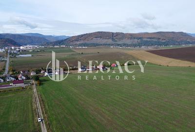 Teren intravilan 10.000 mp Gârcina lângă Sala Polivalenta Piatra Neamț - 1