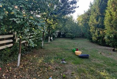 CASA  noua, Cornetu, aproape de Bucuresti - 18