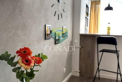 Garsoniera renovata modern str Nada Florilor - Teiul Domnei - 4