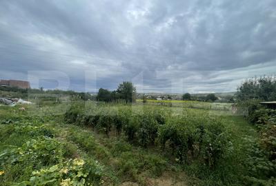 Teren Construcții intravilan de 1000 mp, în Viișoara