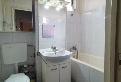 Inchiriere Apartament 2 camere, Dristor, Bd. Camil Ressu - 8
