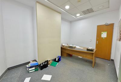 Închiriere Spațiu Comercial Premium central 240mp-Bd. A. Panu, Direct proprietar - 13