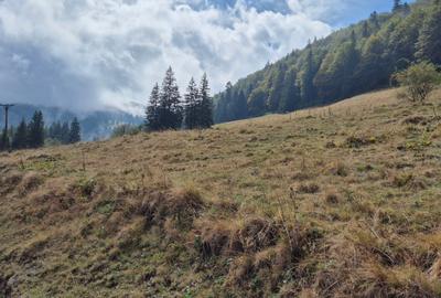 Teren deosebit in cadru de poveste langa cabana Diham, Glajerie - 8