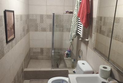 Apartament 2 camere Calea Calarasilor cu gradina - 23