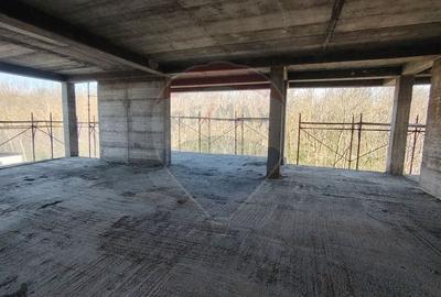 Apartament 4 camere CRANGUL PETRESTI. - 5