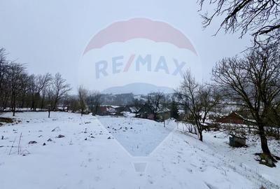 Casa cu 2 camere si teren 4887mp de vanzare in Dabaca - 6