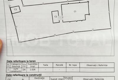 Casa P+1+M, Costesti, Arges , 24 km de Pitesti - 10