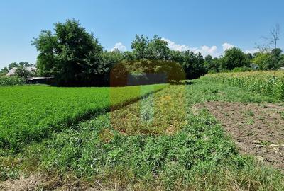 Teren intravilan 4.133 mp cu dublă deschidere – Girov, Neamț | Toma Imobiliare - 4