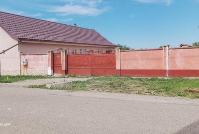 Casă de vânzare Șagu Arad - 2