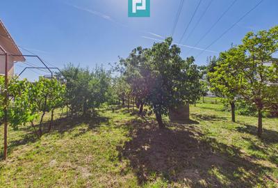 Vila 13 camere, Sanmartin - 23