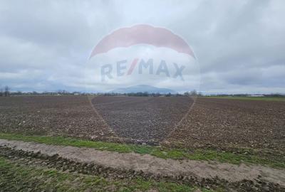 Parcel de teren casa de vanzare intravilan Primaria Adunatii-Copaceni - 4