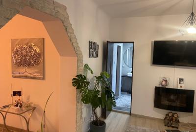 Unirii-Manastirea Antim Apartament 3 camere Vila - 3