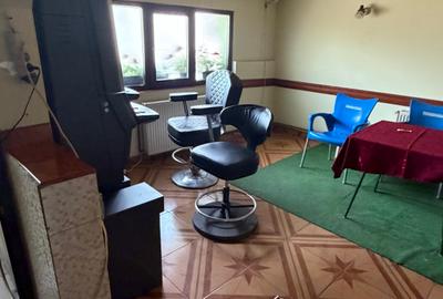 Închiriere spațiu comercial Ilioara Salajan - 1
