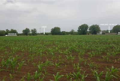 TEREN CU POTENTIAL INDUSTRIAL | 4,35 HA | ARAD, ZADARENI - 8