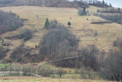 Teren agricol extravilan de 16400 mp, în Poiana Mărului
