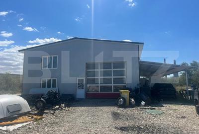 Teren 5000 mp cu hala de 280 mp in Isalnita, cu deschidere la E79 - 1