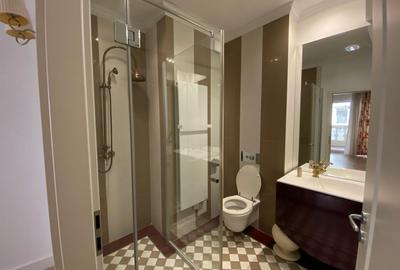 De inchiriat apartament 4 camere Herastrau - 18