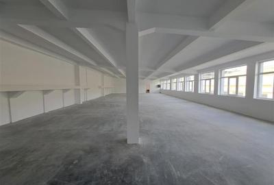 Spatiu industrial, 439 mp utili, situat in zona Taietura Turcului! - 4