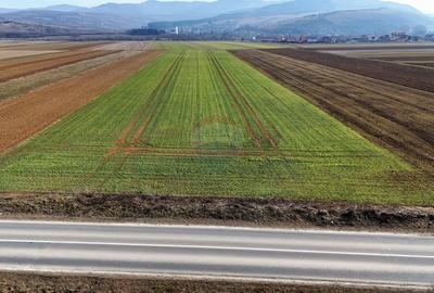Teren extravilan | 14,600mp | Tărlungeni - 6